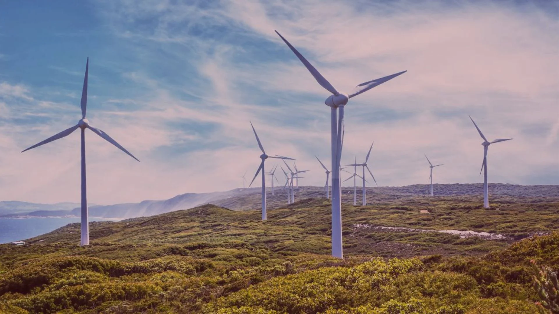 Wind Turbines Get Smarter with AI and IoT